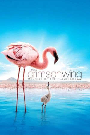 The Crimson Wing: Mystery of the Flamingos's poster