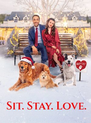 The Dog Days of Christmas's poster