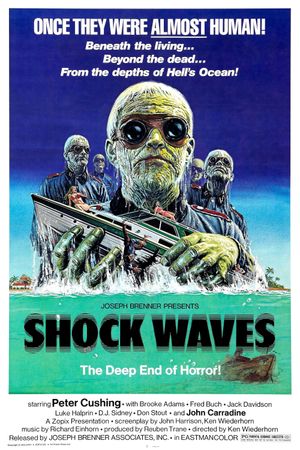 Shock Waves's poster