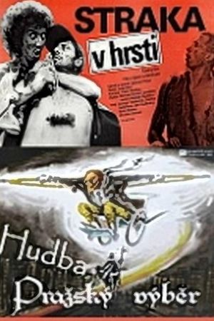 The Magpie in the Wisp's poster