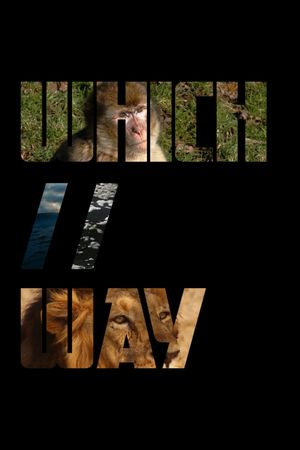 which//way's poster