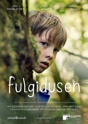 Fulgidusen's poster