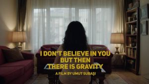 I Don’t Believe In You But Then There Is Gravity's poster