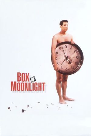 Box of Moonlight's poster