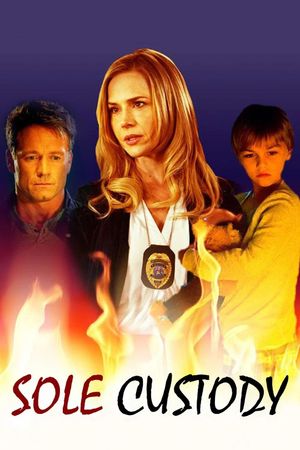 Sole Custody's poster