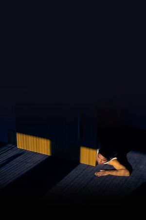 Lost in the Night's poster