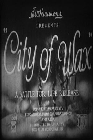 City of Wax's poster