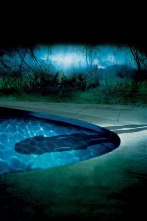 Lady in the Water's poster