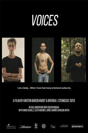 Voices's poster