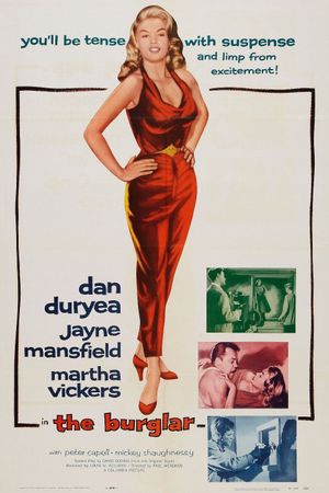The Burglar's poster