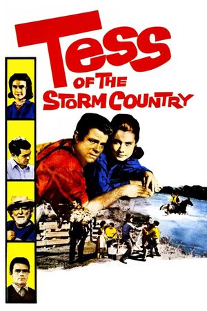 Tess of the Storm Country's poster