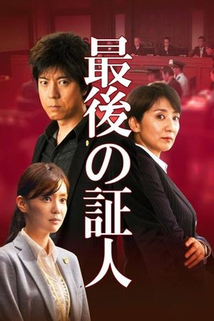 The Last Witness's poster
