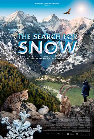 The Search for Snow's poster