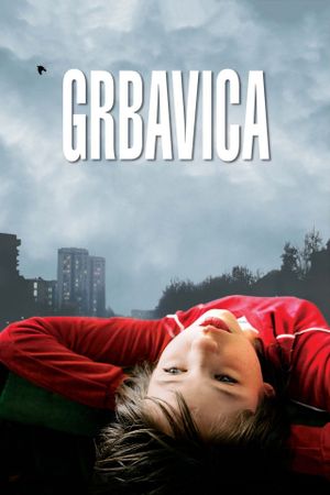 Grbavica's poster