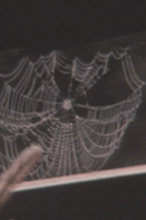 Super 8 Diary - 2003's poster