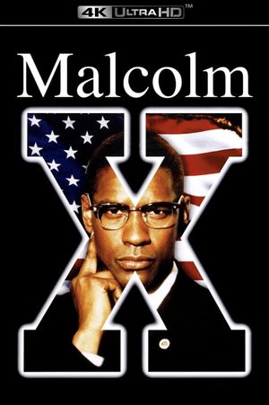 Malcolm X's poster