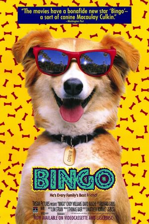 Bingo's poster