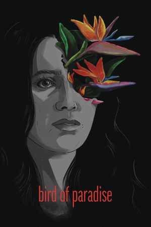 Bird of Paradise's poster