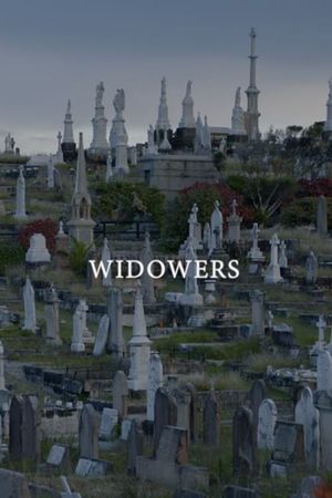 Widowers's poster