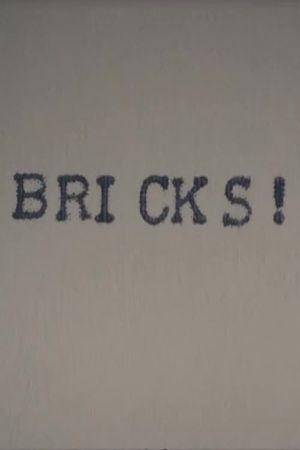 Bricks!'s poster
