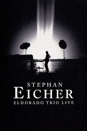 Stephan Eicher : Eldorado Trio Live's poster