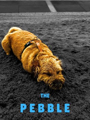 The Pebble's poster