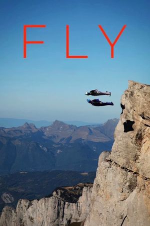 Fly's poster