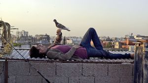 The Pigeon's poster