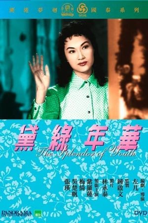 Dai lu nian hua's poster