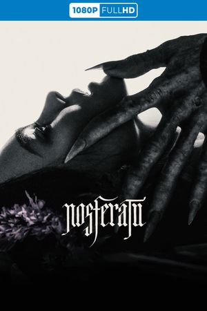 Nosferatu's poster
