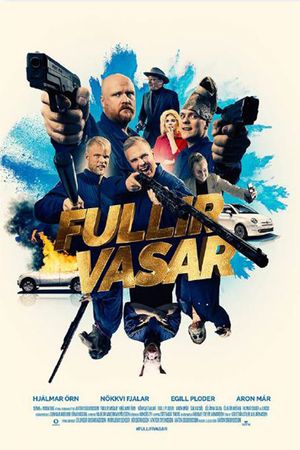 Fullir Vasar's poster