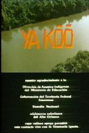 Ya Koo's poster image