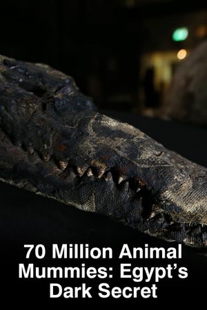 70 Million Animal Mummies: Egypt's Dark Secret's poster