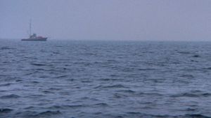 Jaws's poster
