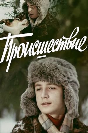 Происшествие's poster