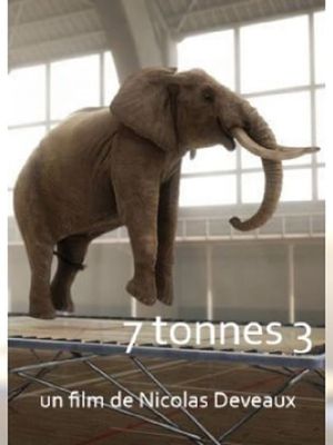 7 Tonnes 2's poster