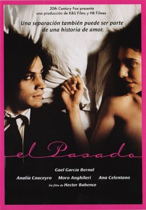 The Past's poster