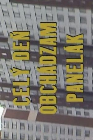 Celý deň obchádzam panelák's poster
