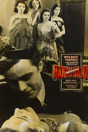 Marihuana's poster