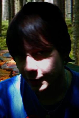 The Hamleigh Disappearances's poster