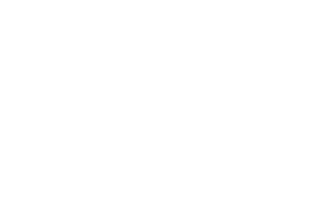 The Parent Trap's poster
