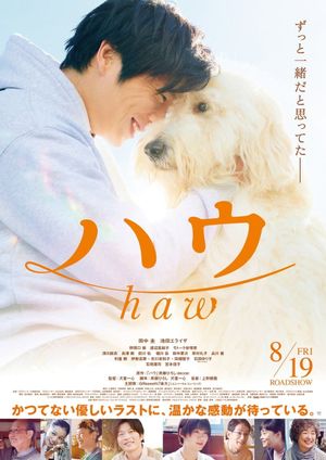 Haw's poster