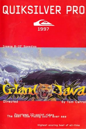Quiksilver Pro G-Land 1997's poster
