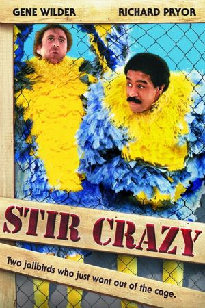 Stir Crazy's poster