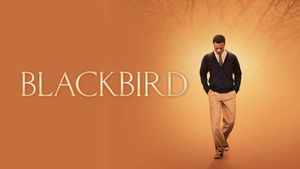 Blackbird's poster