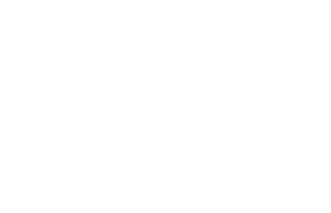 Silver Linings Playbook's poster