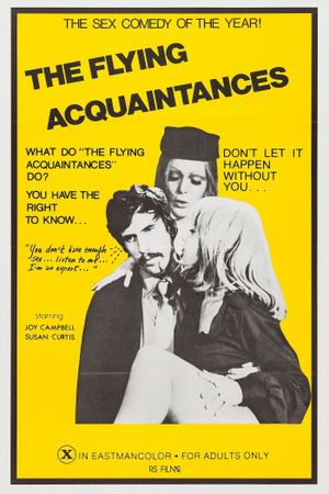 Flying Acquaintances's poster