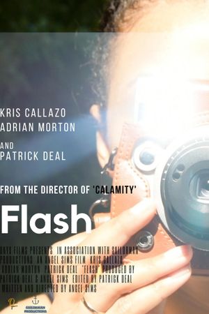 Flash's poster