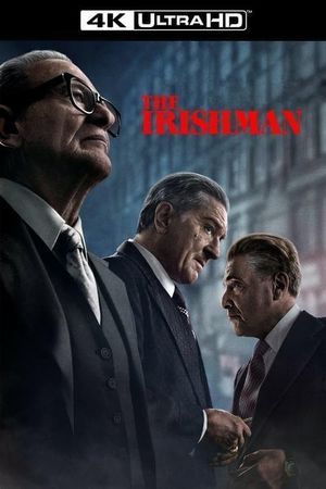 The Irishman's poster