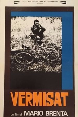Vermisat's poster